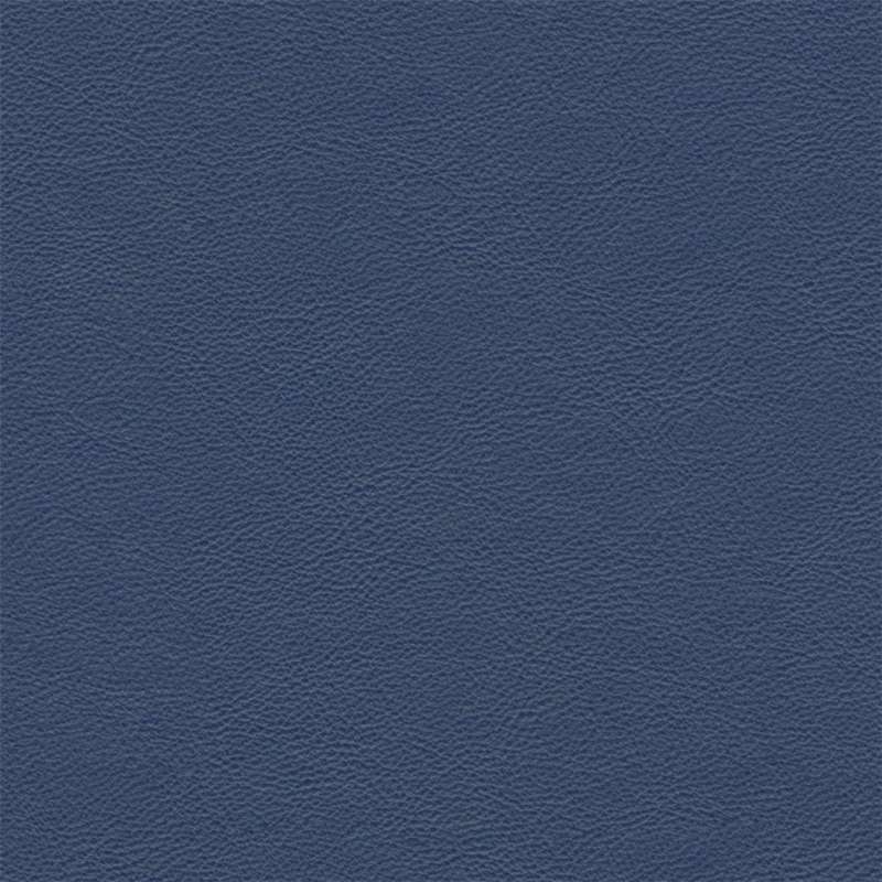 Evolution Navy