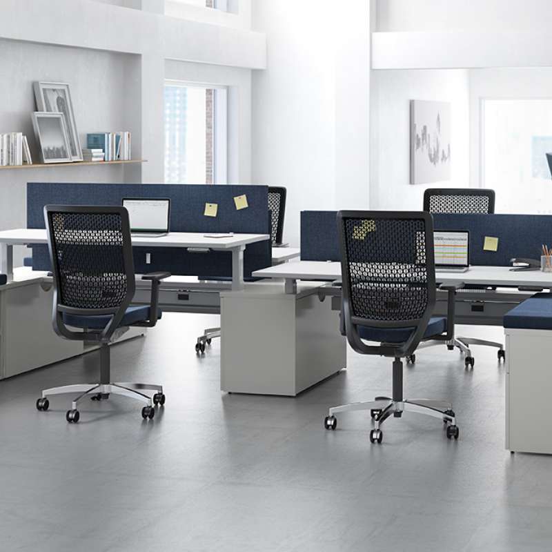 Staks, Genus, and Elani