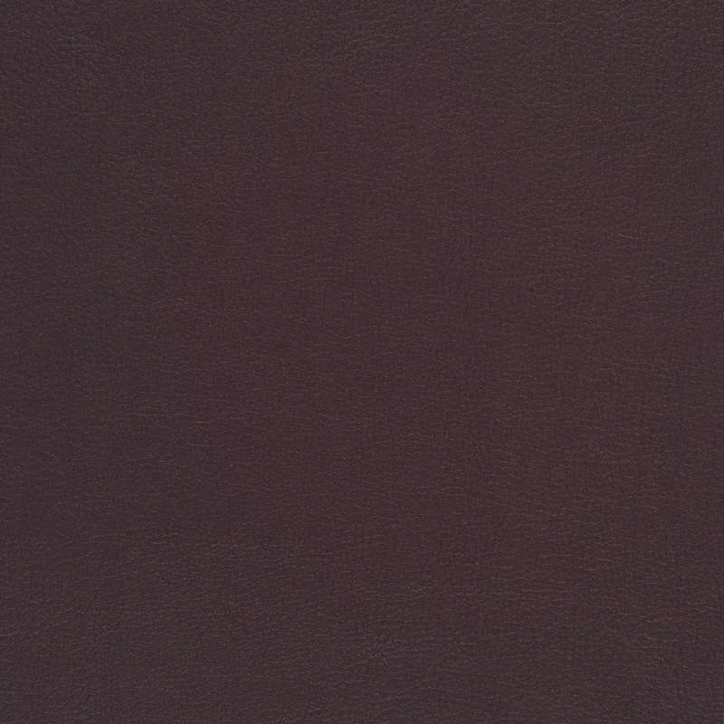 Florentino Plum