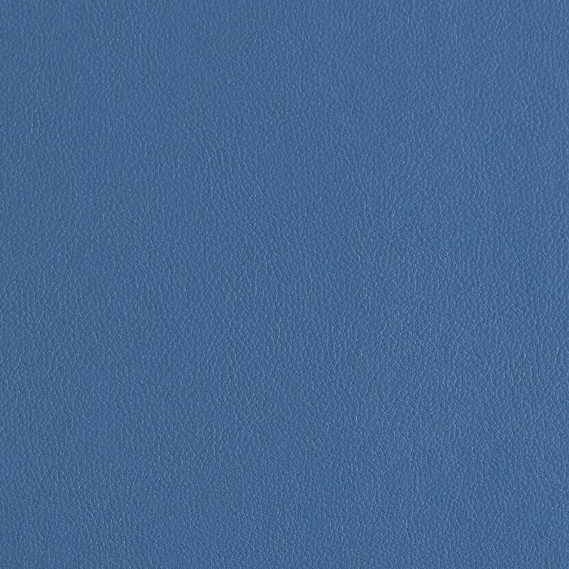 Florentino Bluejay