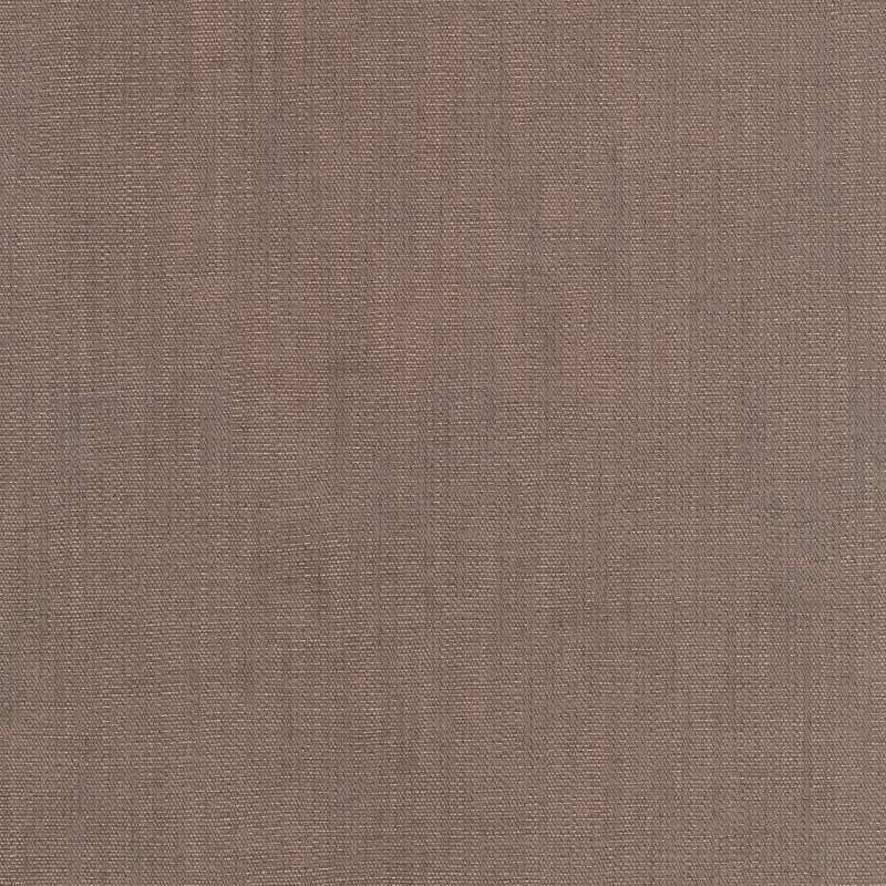 Maple 0342