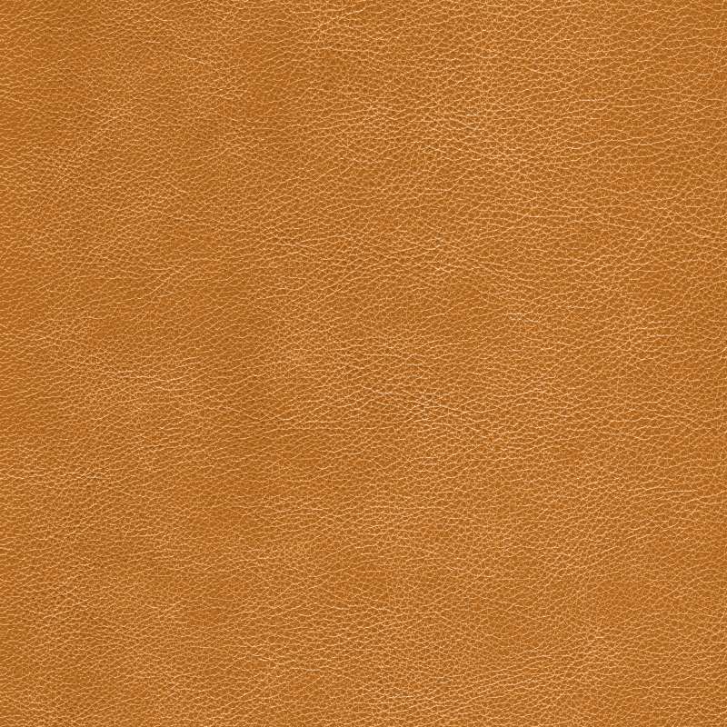 Fabian Leather Dorata