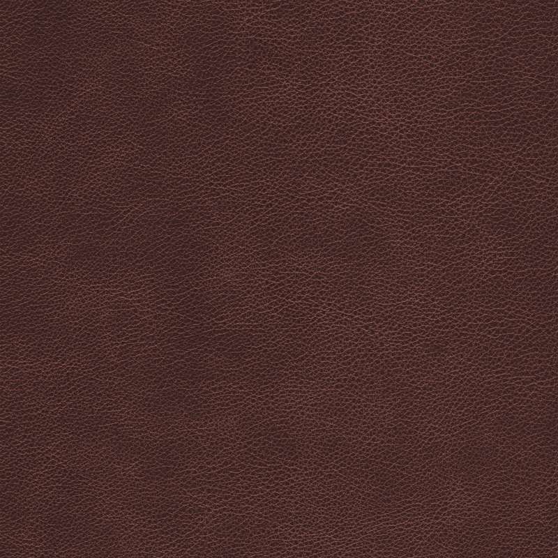 Fabian Leather Brandy