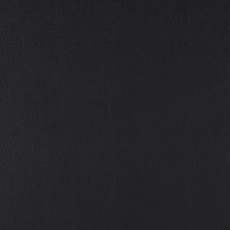 Free Way Leather Raven