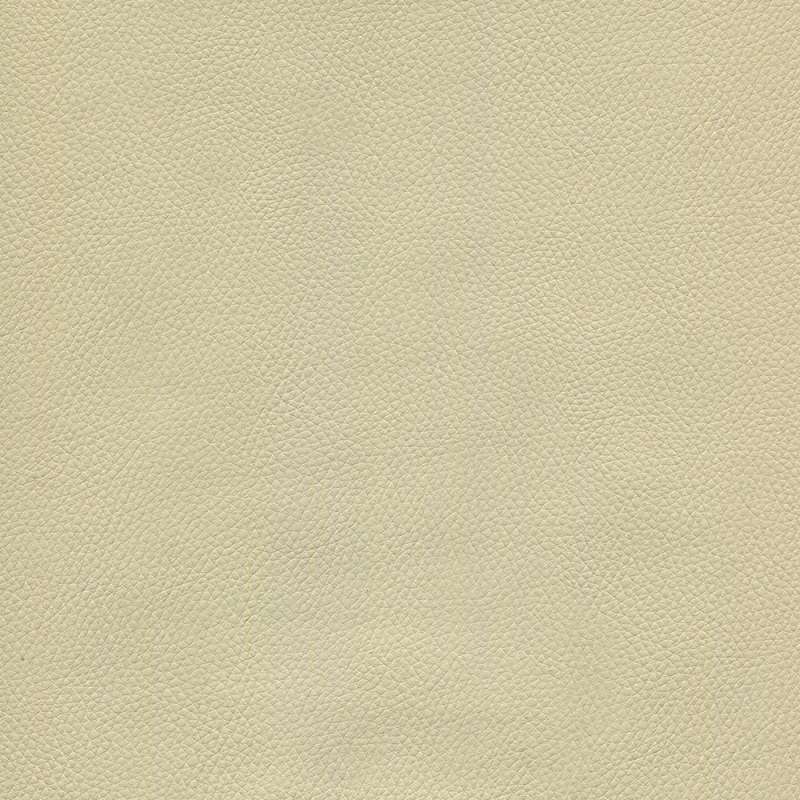 Genero Ivory