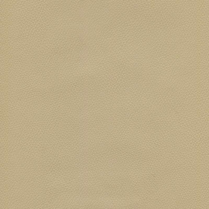 Genero Bisque