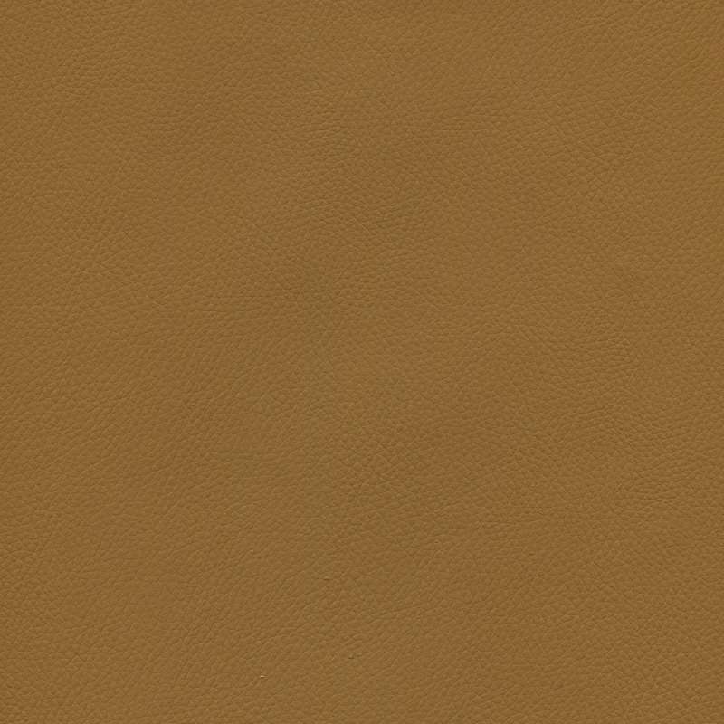 Genero Camel 