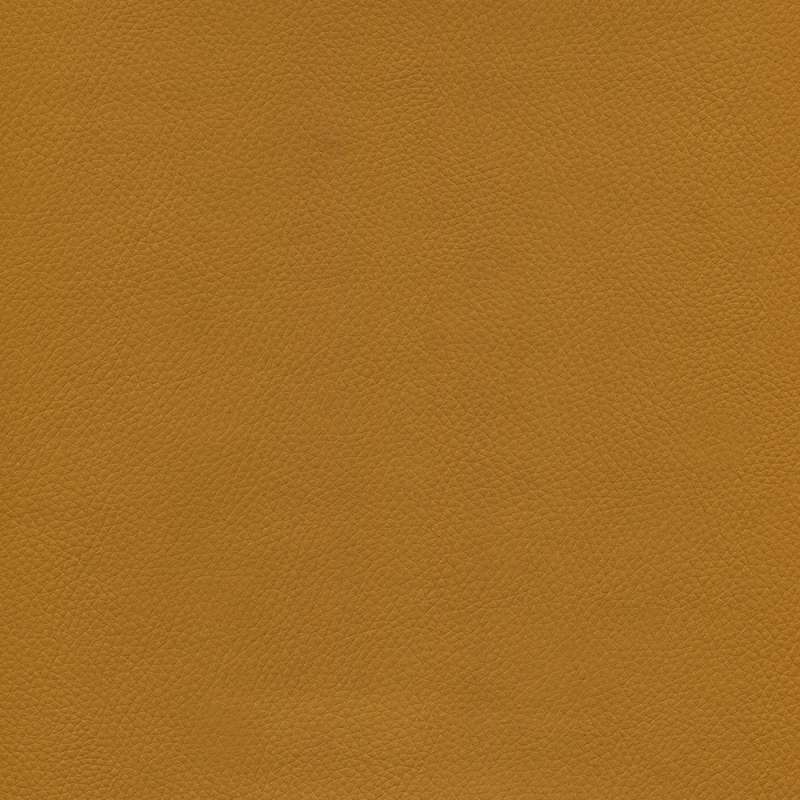 Genero Saffron