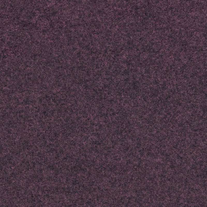 Gemma Multi Andromeda Reverse