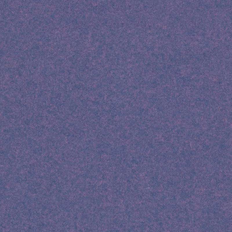 Gemma Multi Candytuft Reverse