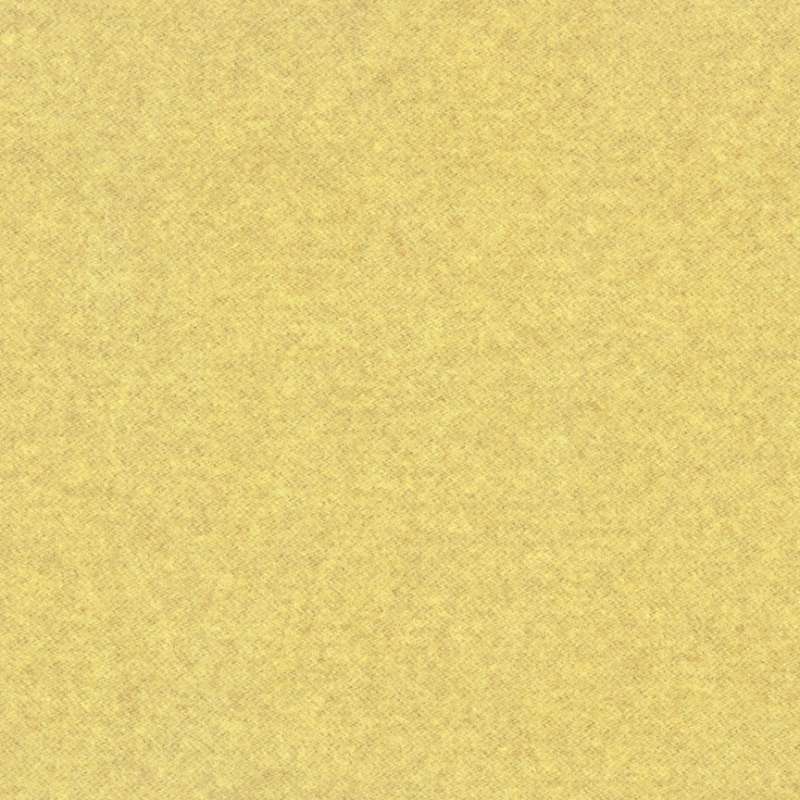 Gemma Multi Shandy Reverse