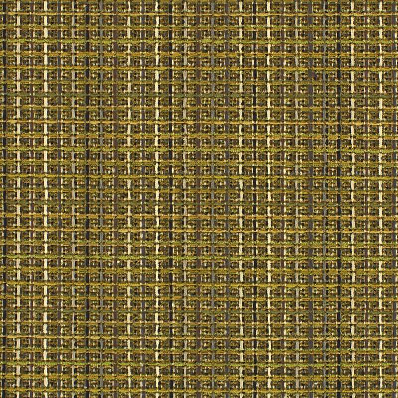 Grateful Grid Alligator