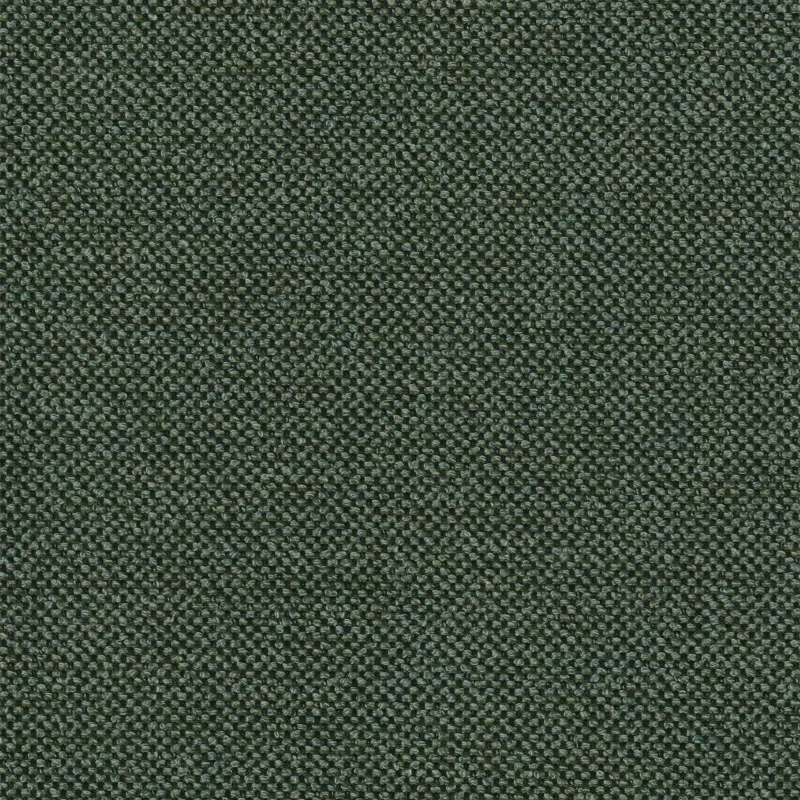 Ground Cover Conifer