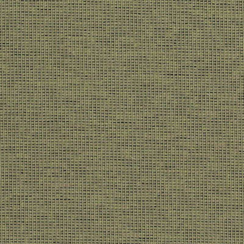 Halcyon Cedar Almond