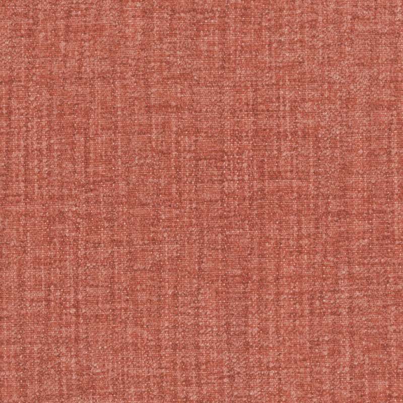 Haven Coral