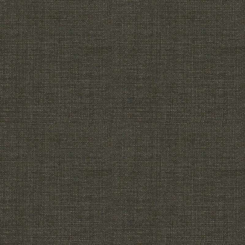 Intaglio 2 Coal