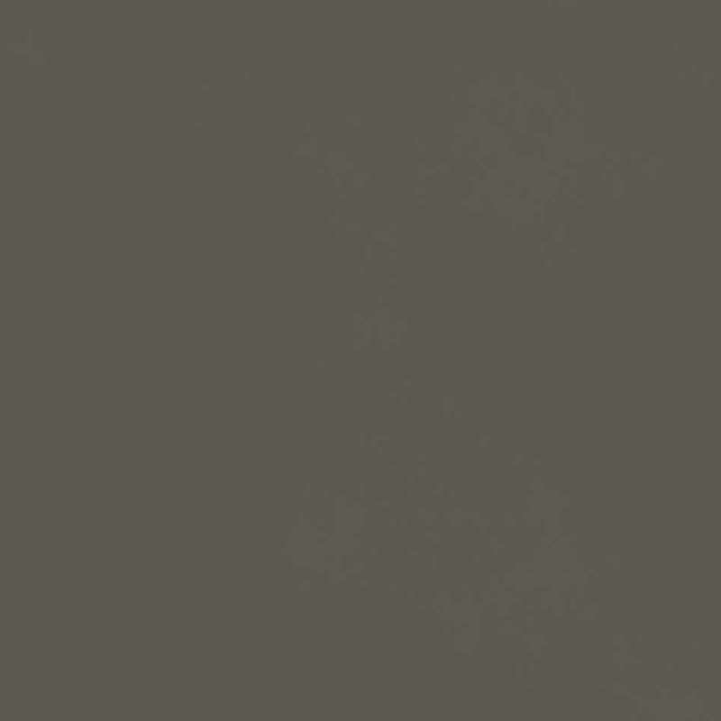 Iron
