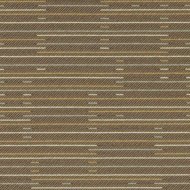 Jot Fossil