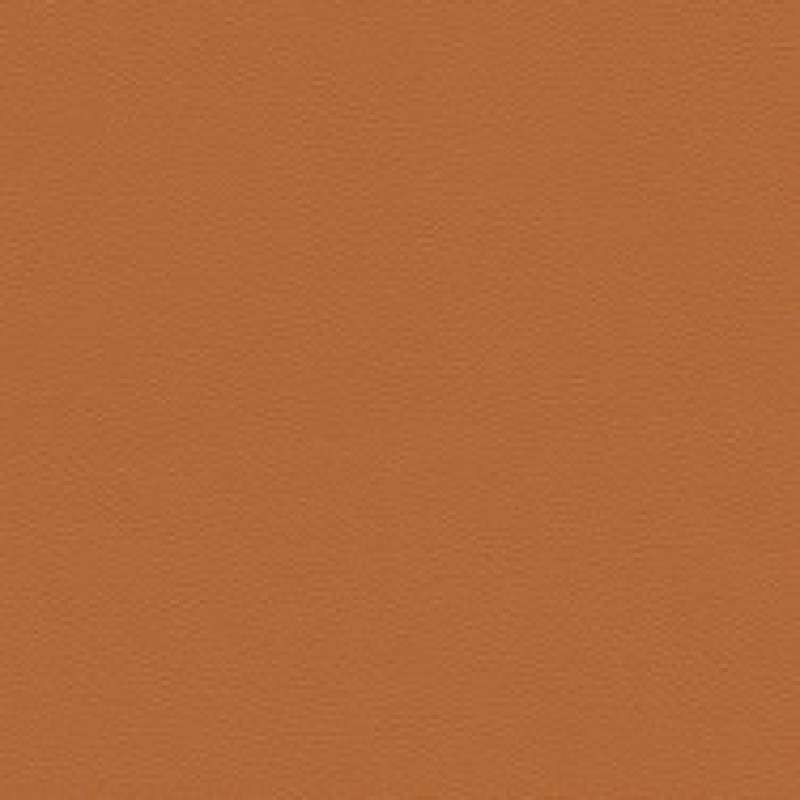 Prairie Chestnut