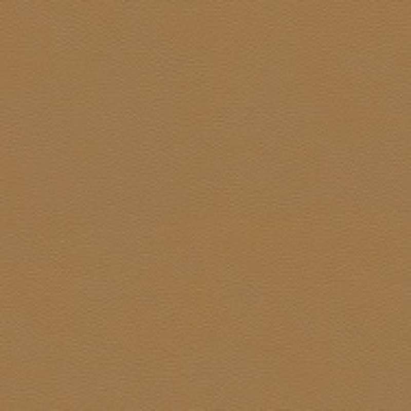 Prairie Fox