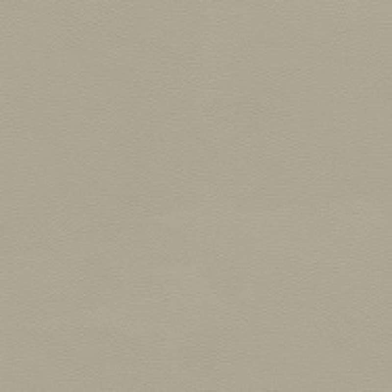 Prairie Sparrow
