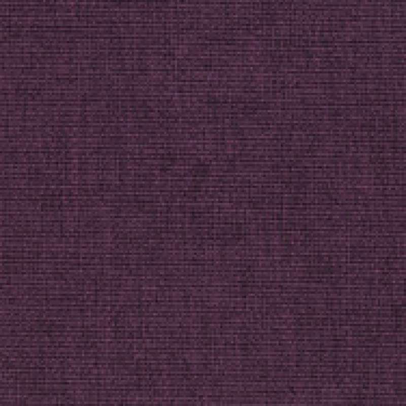 Delite Purple