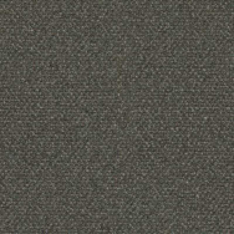 Little Devil Gray