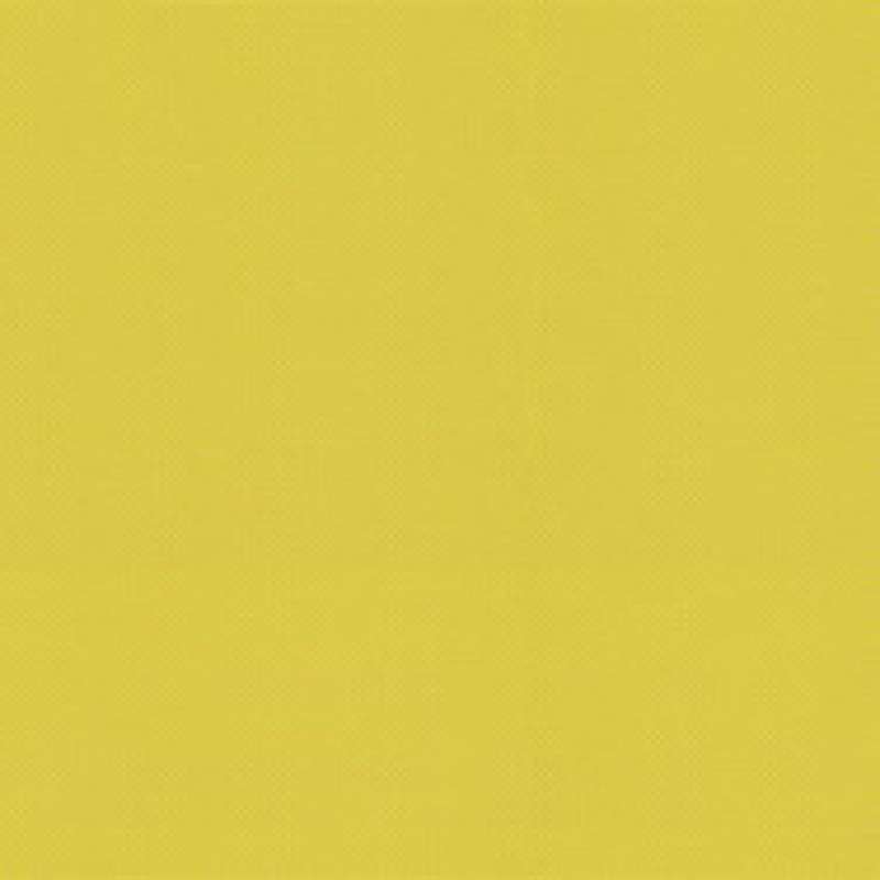 Vibe Ii Zesty