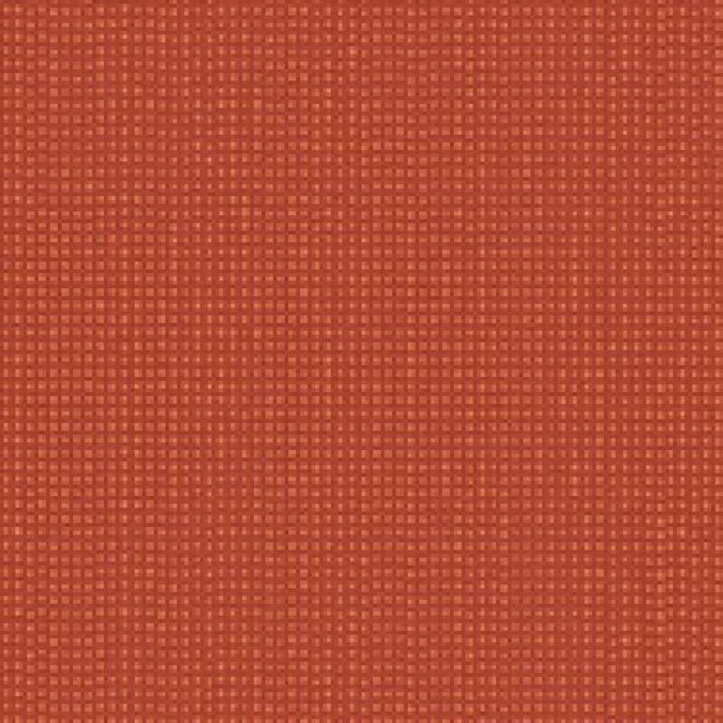 Brigadoon Redwing