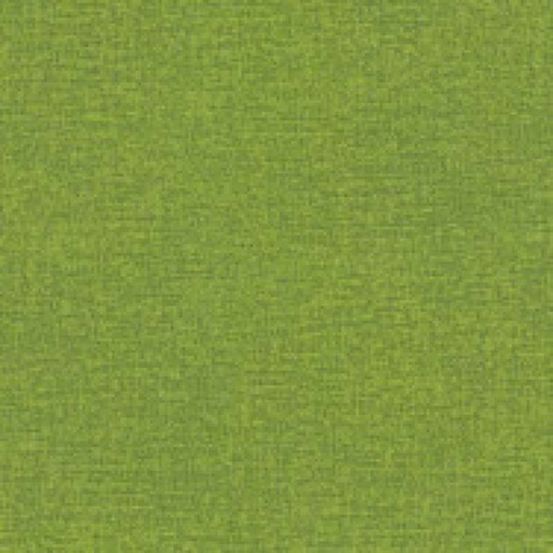 Color Field Aloe