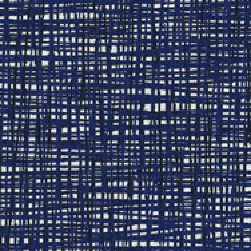 Wild Thing Upbeat Blue