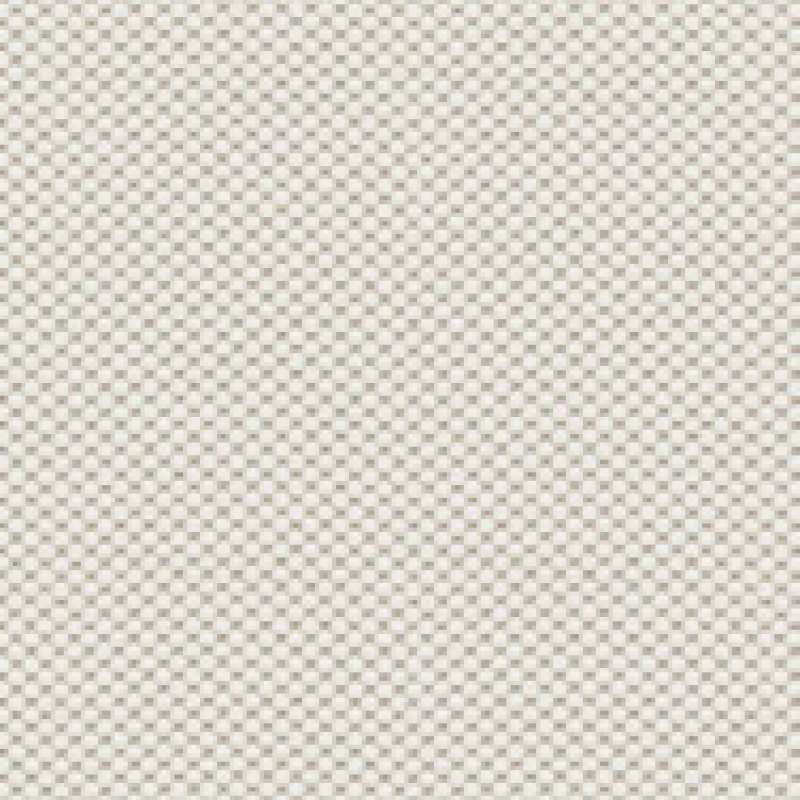 Dottie Cloud
