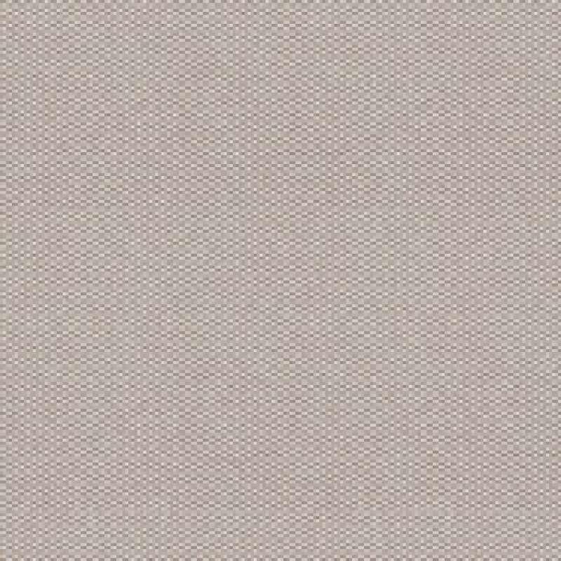 Infinite Birch