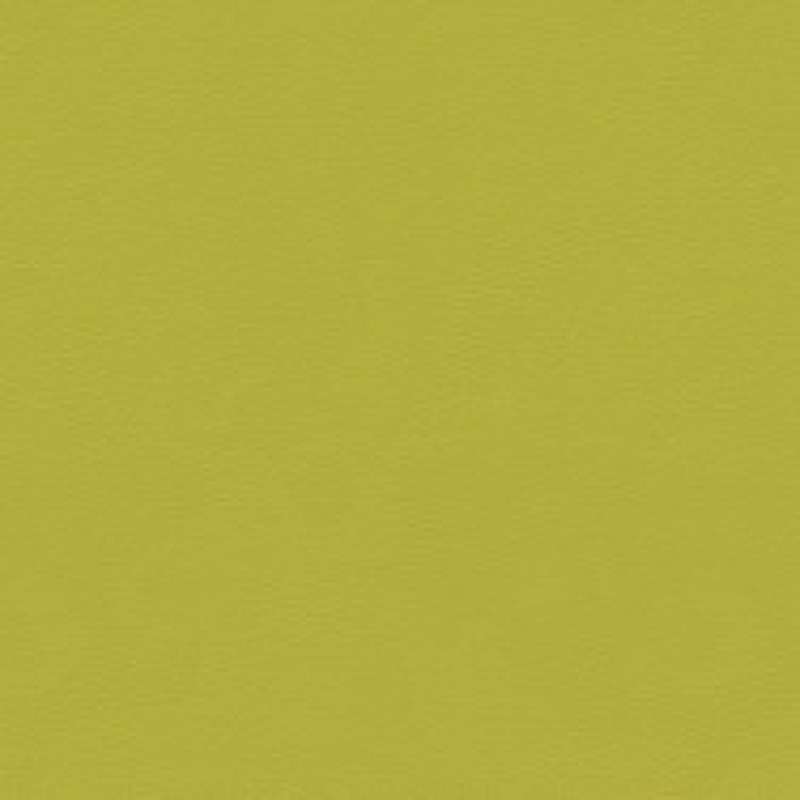 Premier Silicone Lizard