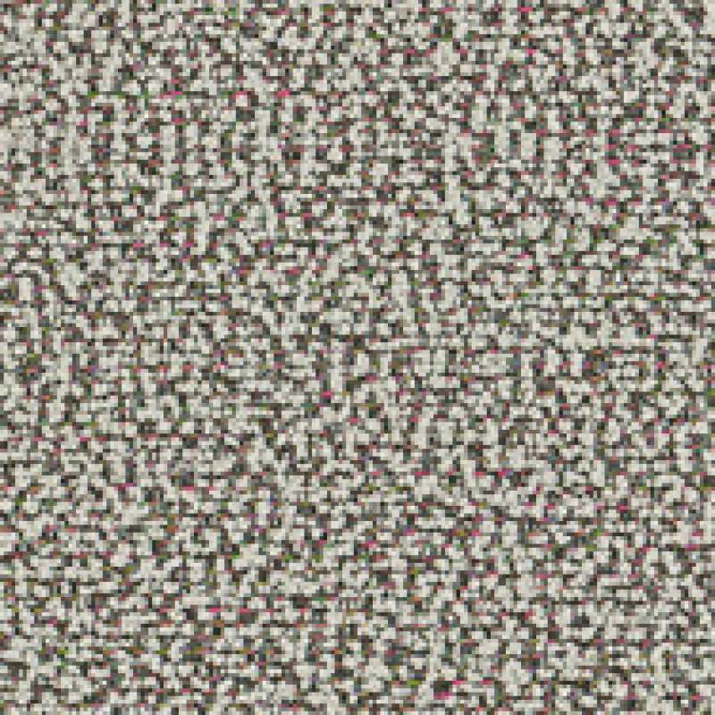 Looped In Universe
