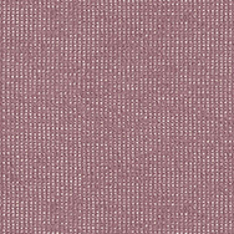 Prestini Lavender/white