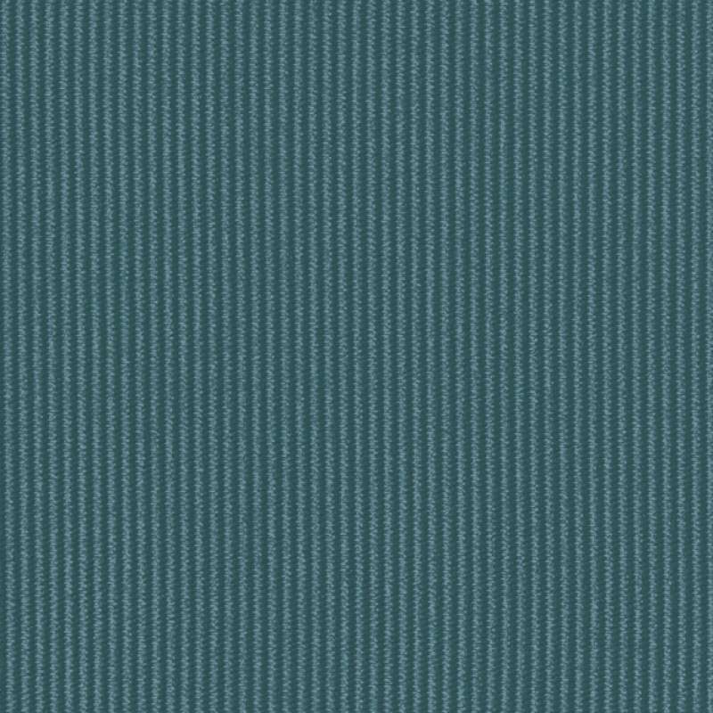 Contour Wavelet