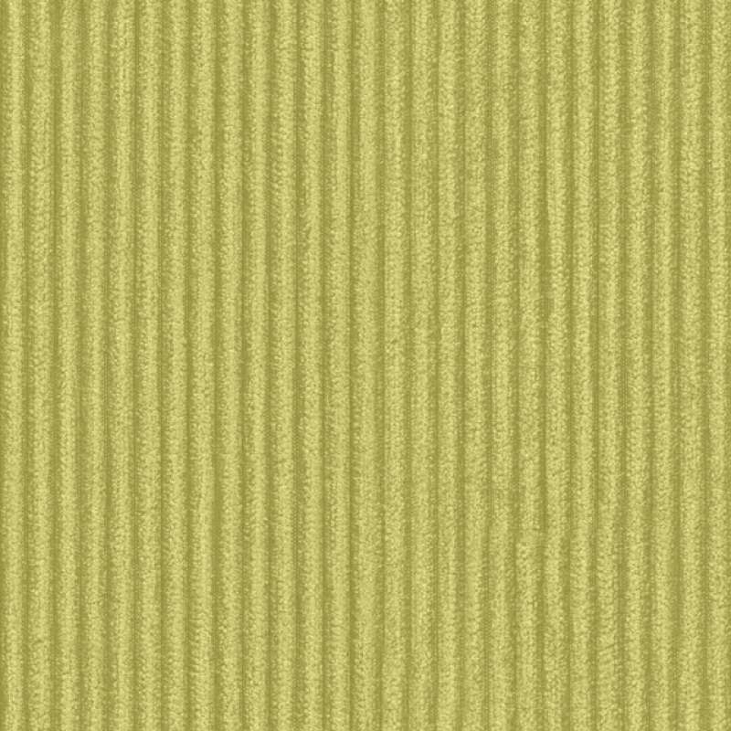 Cozy Cord Pistachio