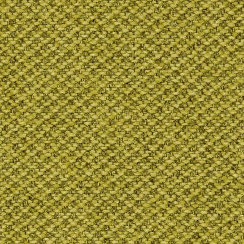 Facet Lichen