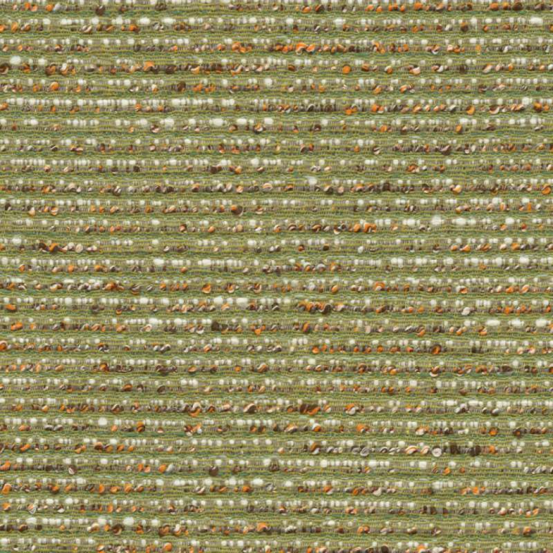 Pathway Moss
