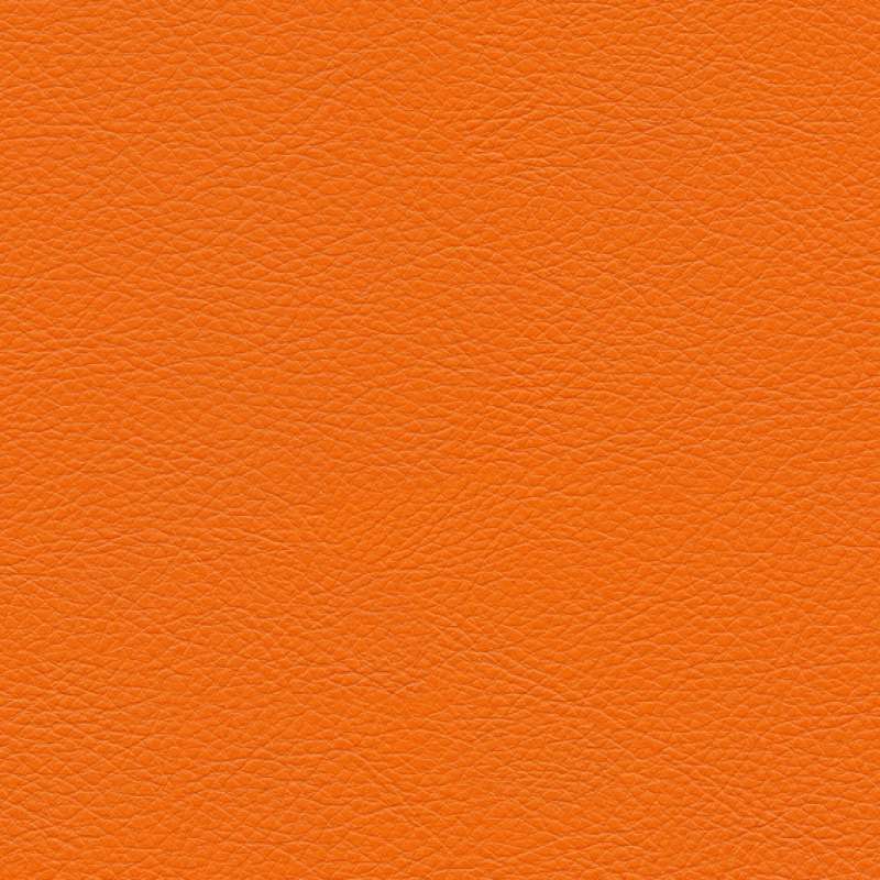 Prairie Orange Burst