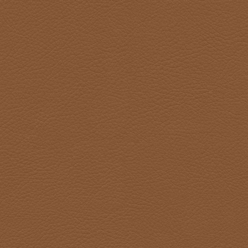Premier Cinnamon