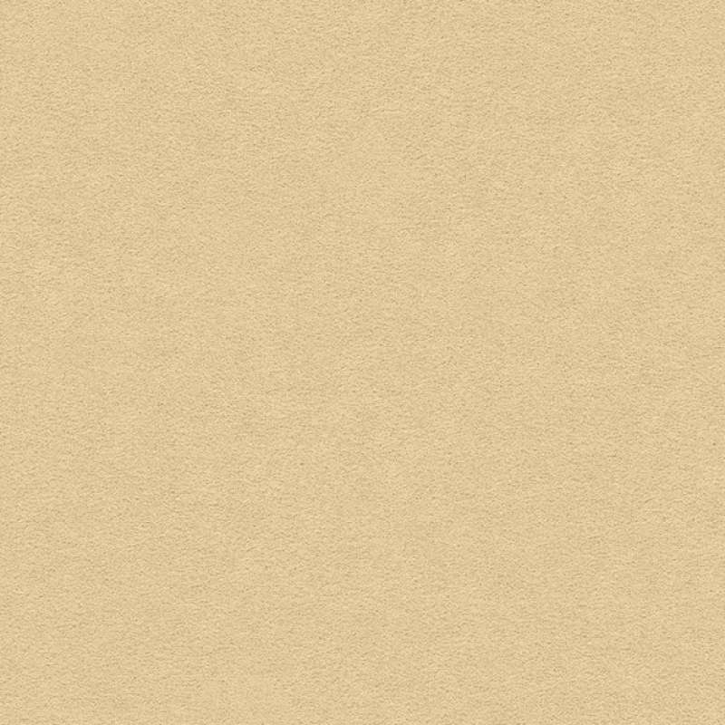 Ultrasuede Chamois
