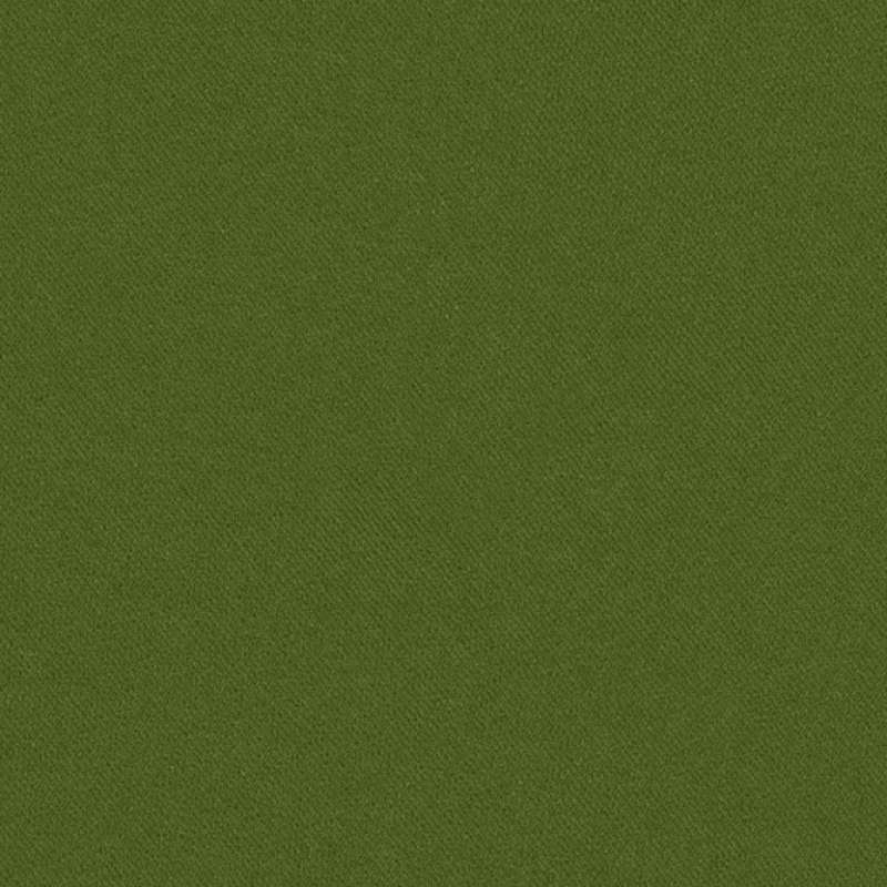 Utopia Evergreen