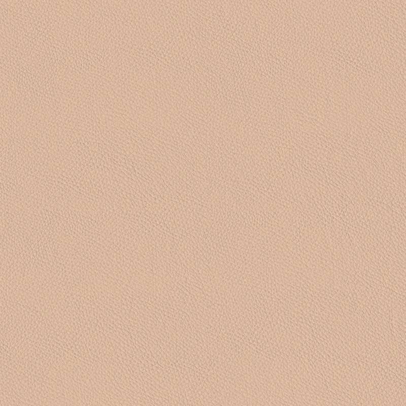 California Apricot