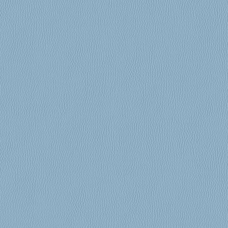 California Bluebird