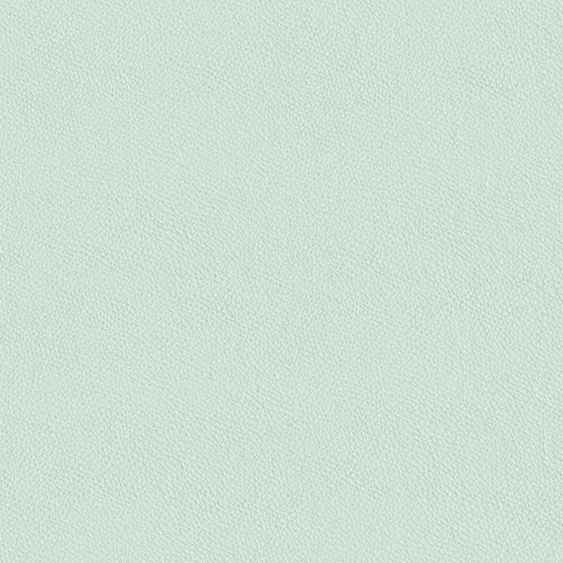 California Duck Egg Blue