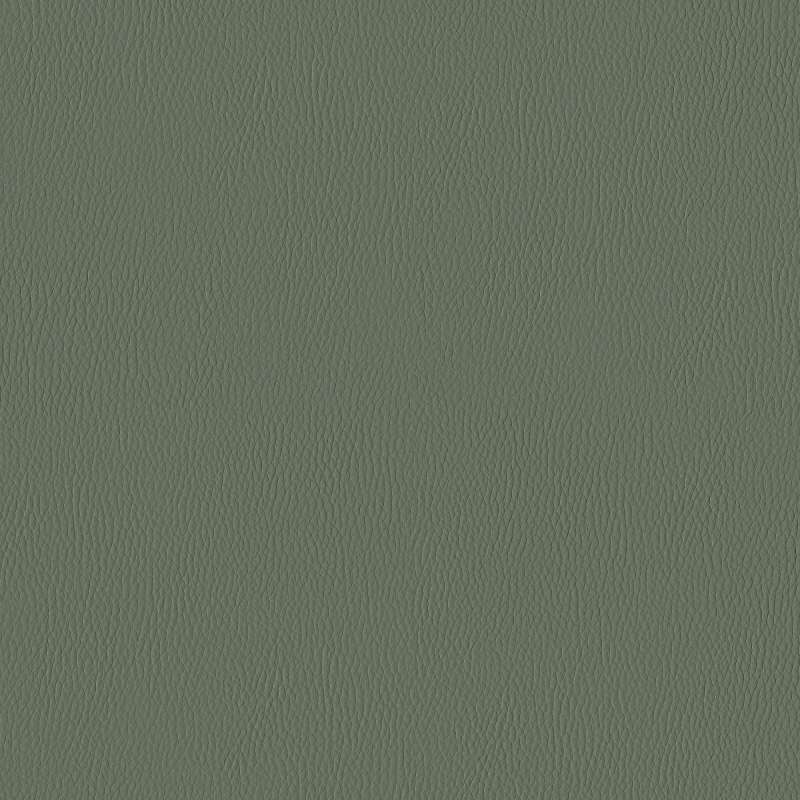 California Evergreen
