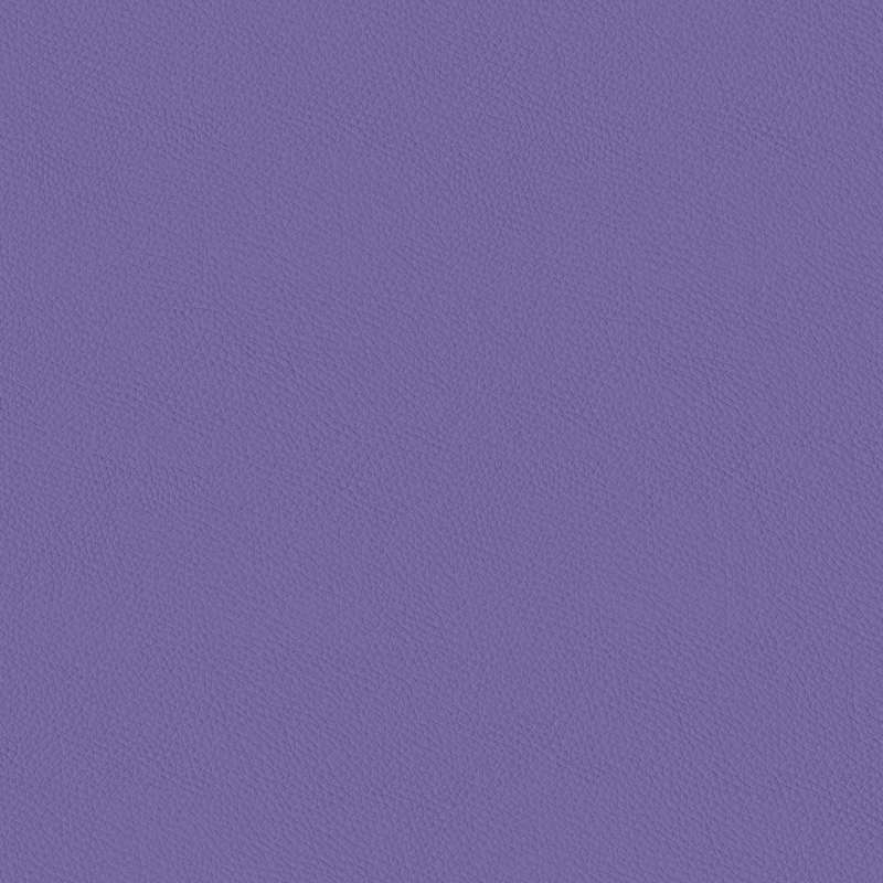 California Mauve