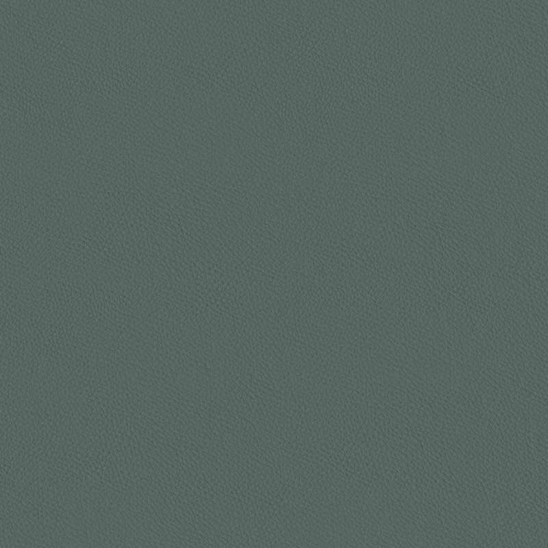 California Pine